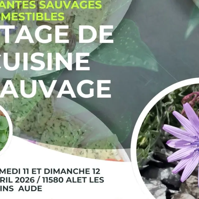 stage de cuisine sauvage