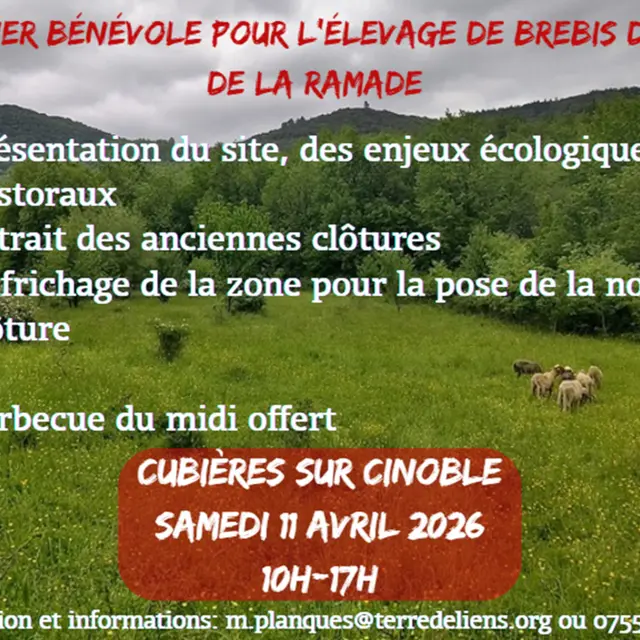 Chantier bénévole à la ferme