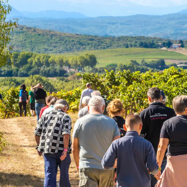 Balades vigneronnes