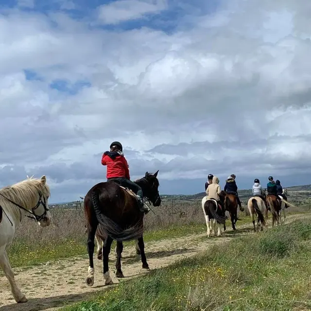 Les randonnées à cheval