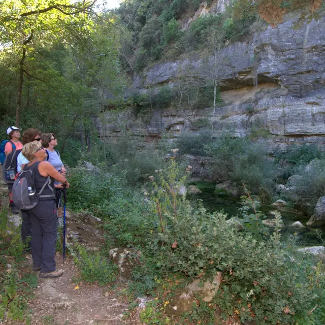 Sentier des Plots_Greffeil_2018_© Jean-Louis Socquet (2)