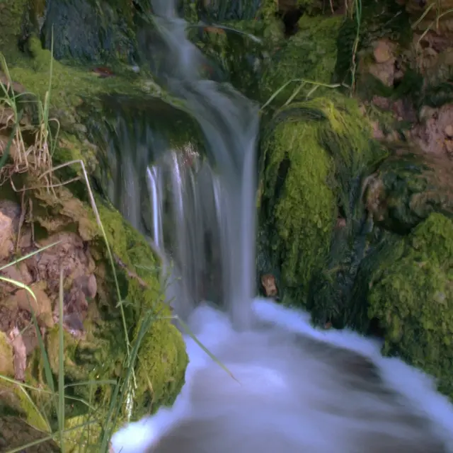 Source Salée_Sougraigne_2011_PCU PNA © Jean-Louis Socquet-Juglard (16)