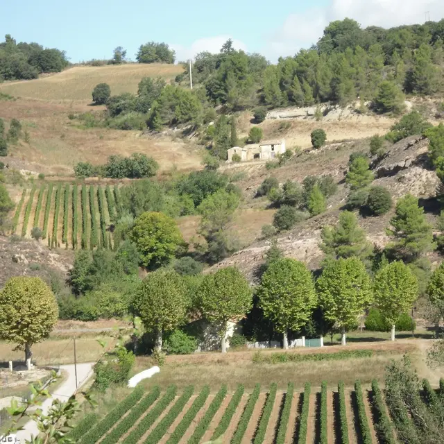 Terroir-Autan-boucle-longue1