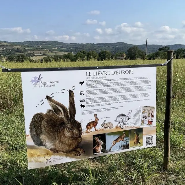 Saint André la Tuilerie