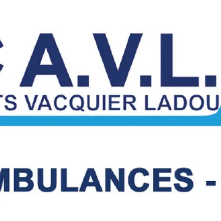 logo_AVL