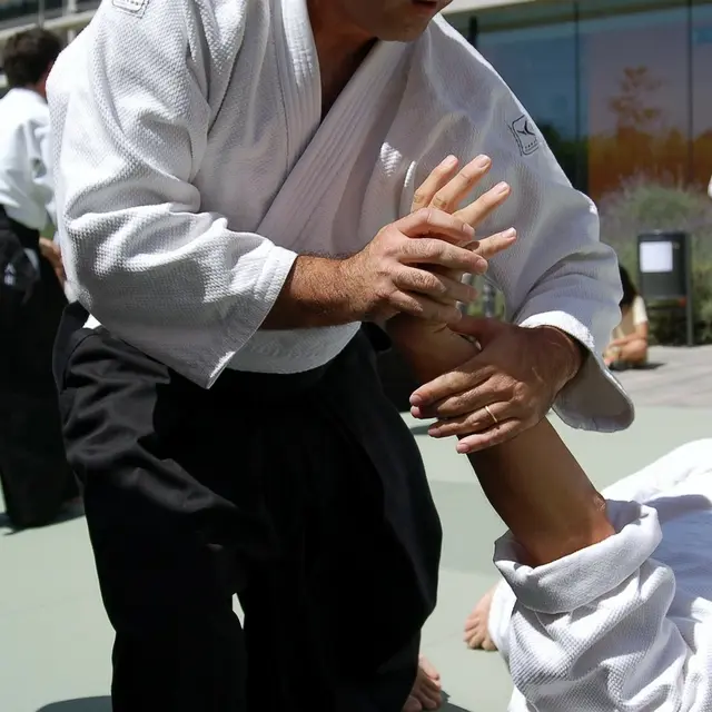 martial-arts-116543_1920