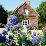 Le Petit Cottage