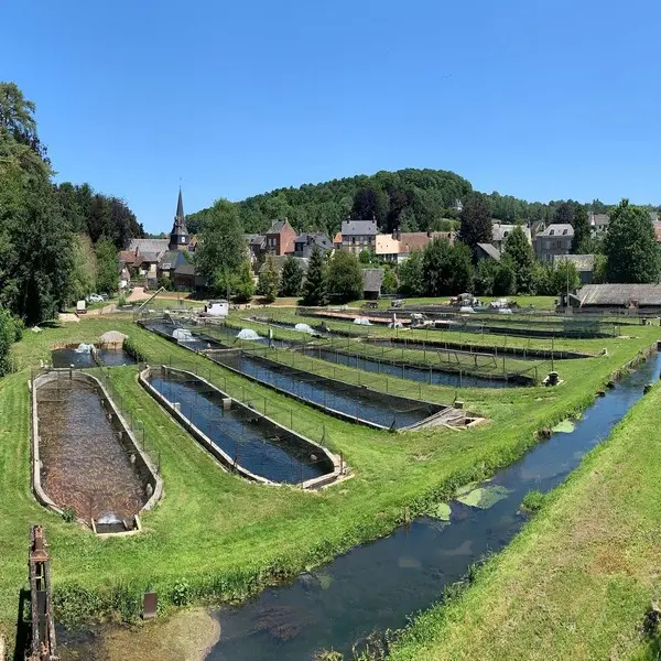 truites-pays-auge-pisciculture-01.jpg