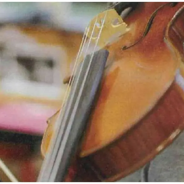violon