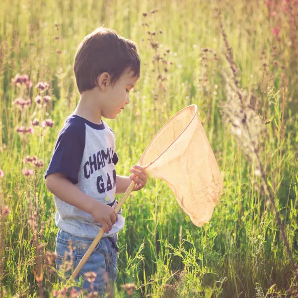 Boy with butterfly net Butterfly catches