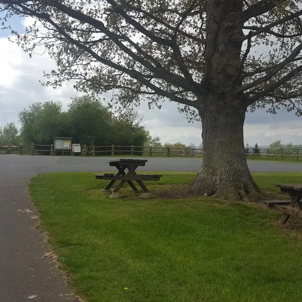 Aire-L'Oudon-Amélia-Le-Magnen-Tables-de-pique-nique