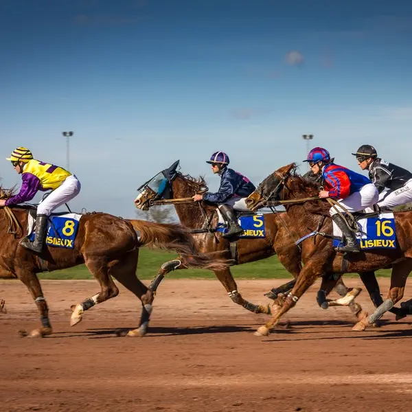 Arrivée course hippodrome Lisieux ©Fabien lestrade