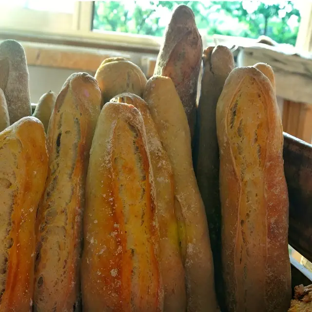 Boulangerie_Les_Copains_baguettes