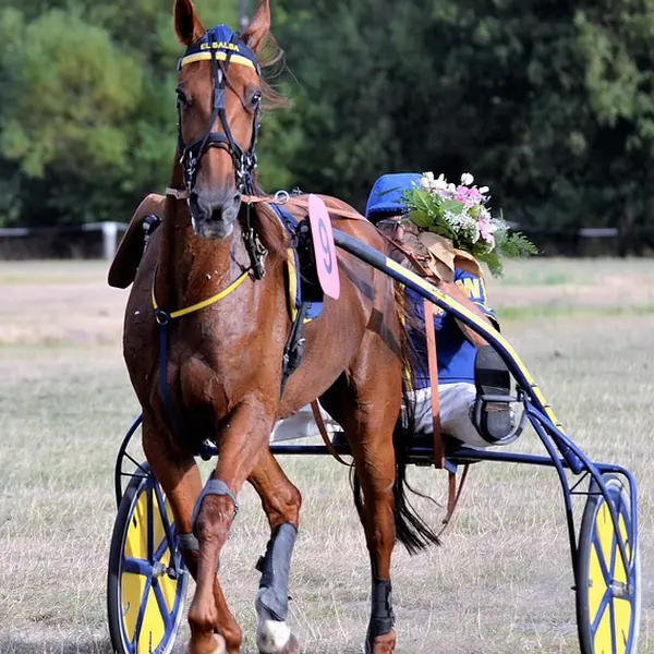 Cheval