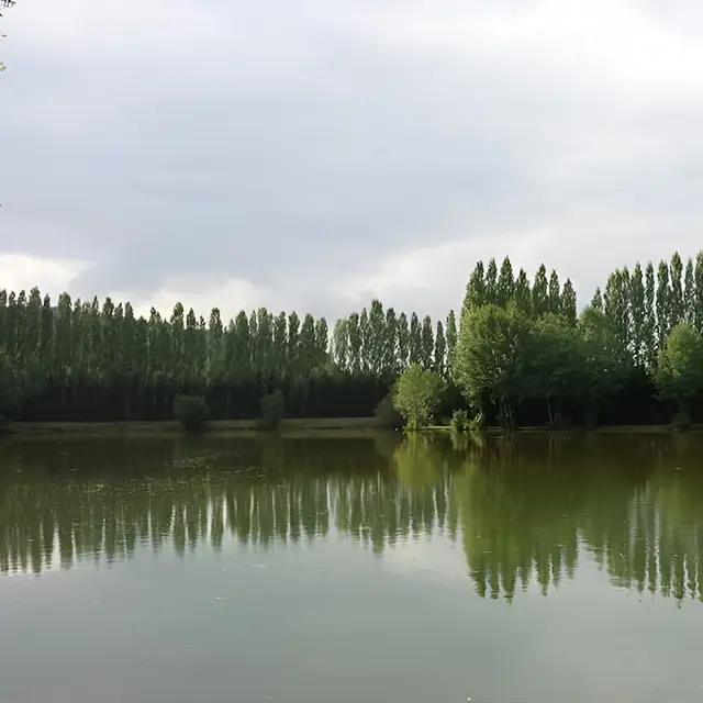 Domaine de l'Orbiquet