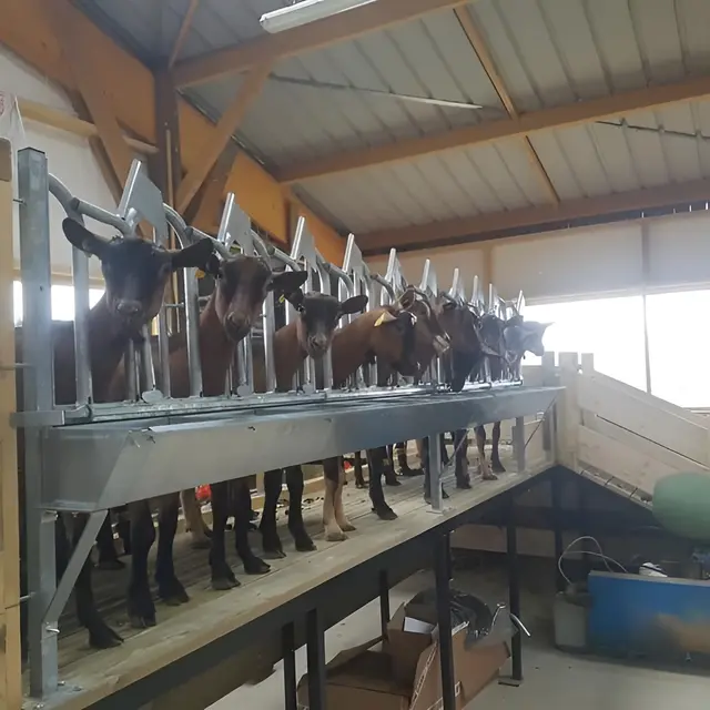 Ferme-Chevriere-MesnilEudes-interieur