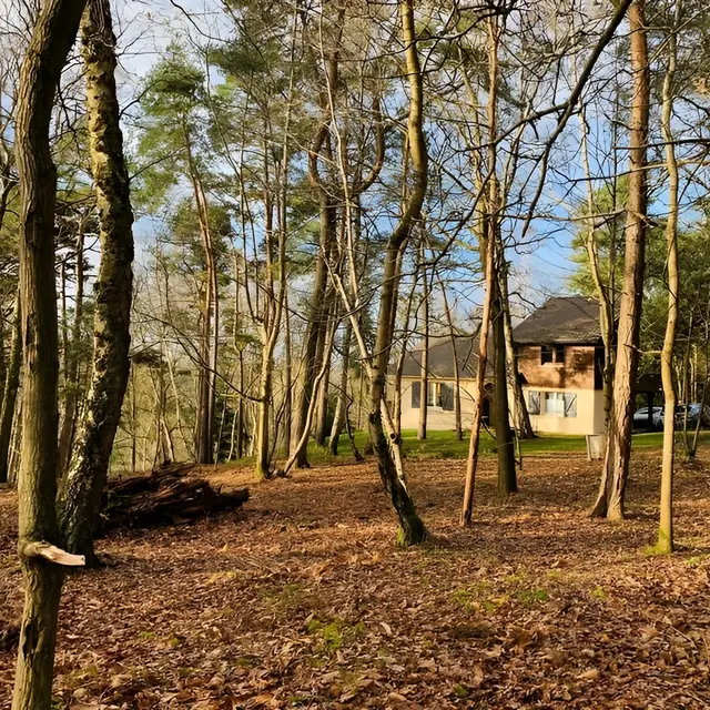 Gîte de la forêt les pins