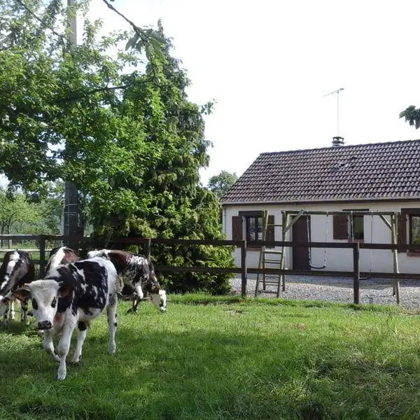 Gite rural à la ferme Barbé Le Mesnil-Simon Cour Balançoire