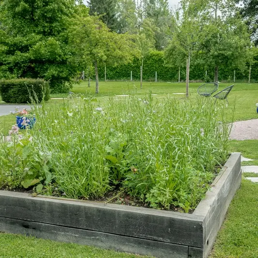Jardin
