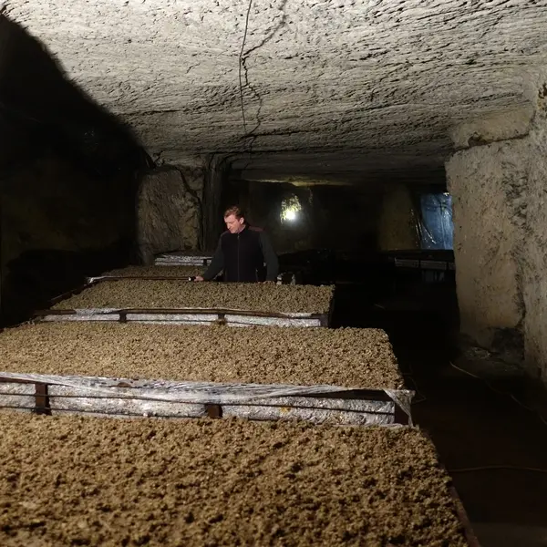 La Champignonnière d'Orbec