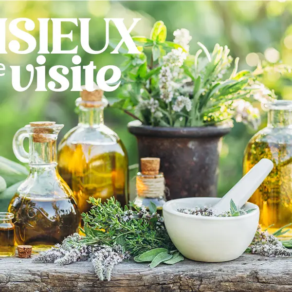 OT - Les plantes et leurs propriétés