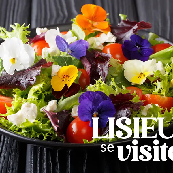 OT - Plantes et fleurs comestibles