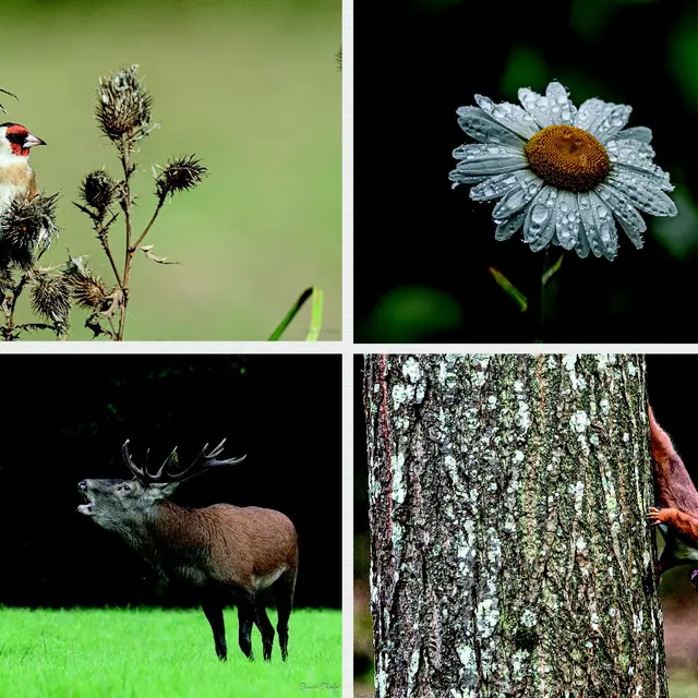 Photo Expo Mai - Le Village Fromager