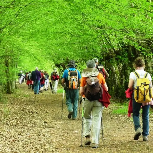 Pretreville (credit V Hublin)