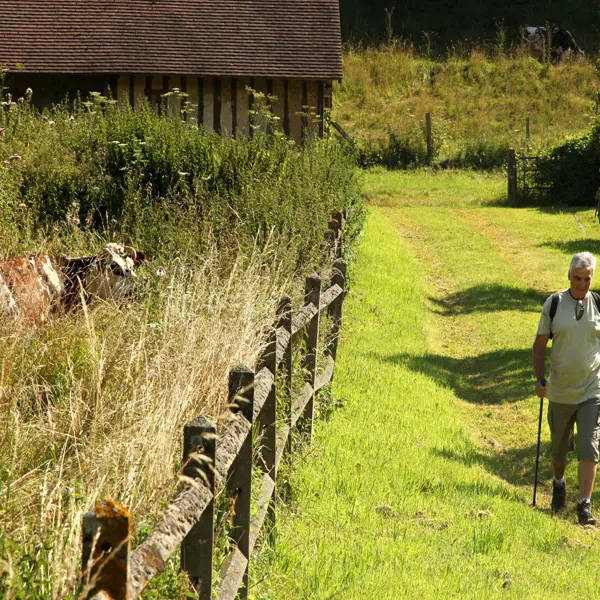 Randonnée-pédestre