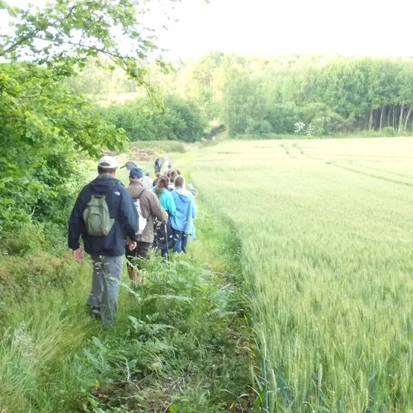 Randonnees-autour-d-Orbec-2