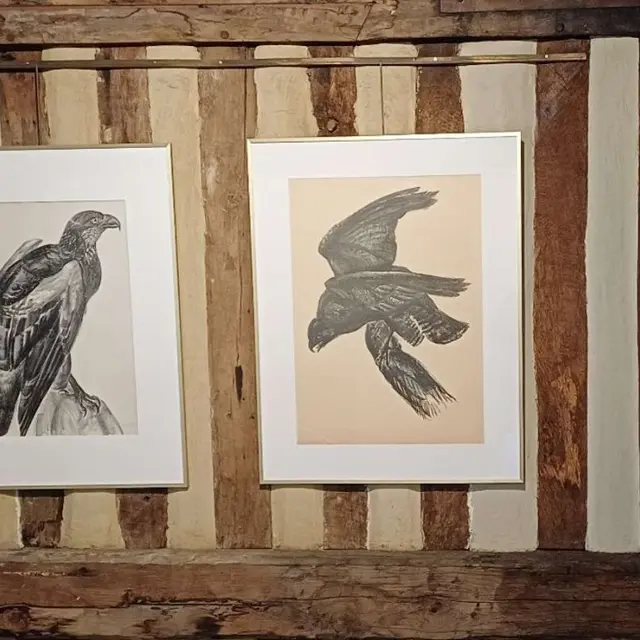 Raymond Bigot, Corbeau et Aigle, gravure, Musée du Vieux Manoir d'Orbec