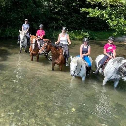 Balade Ecurie Optimum Horses
