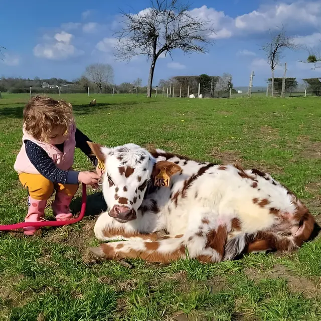 dans la peau dun soigneur les petits sabots de loudon