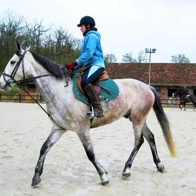 equitation-centre-equestre-le-robillard