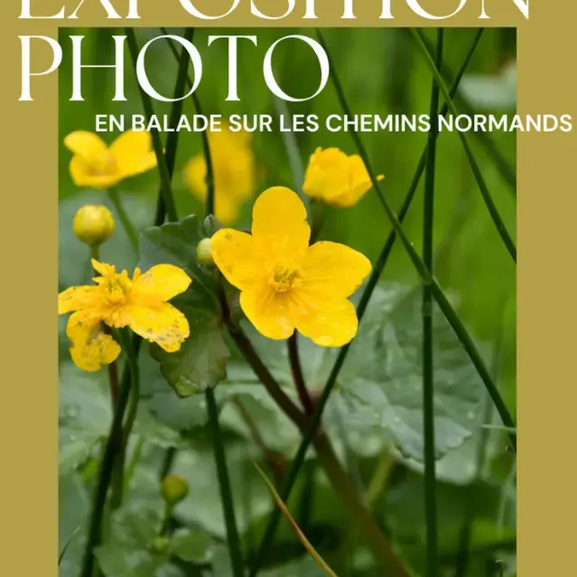 expo photo