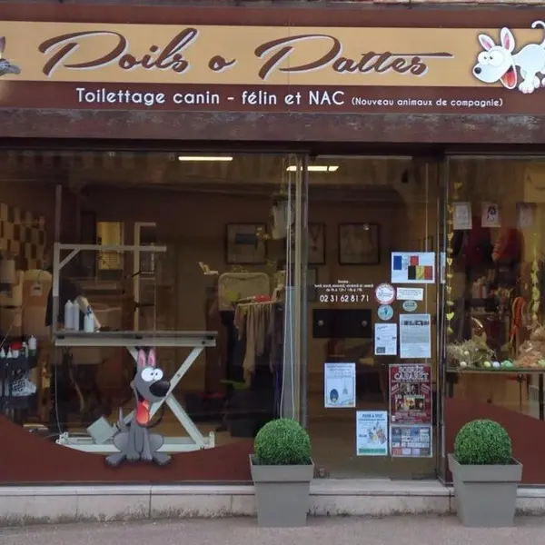 poils o pattes orbec