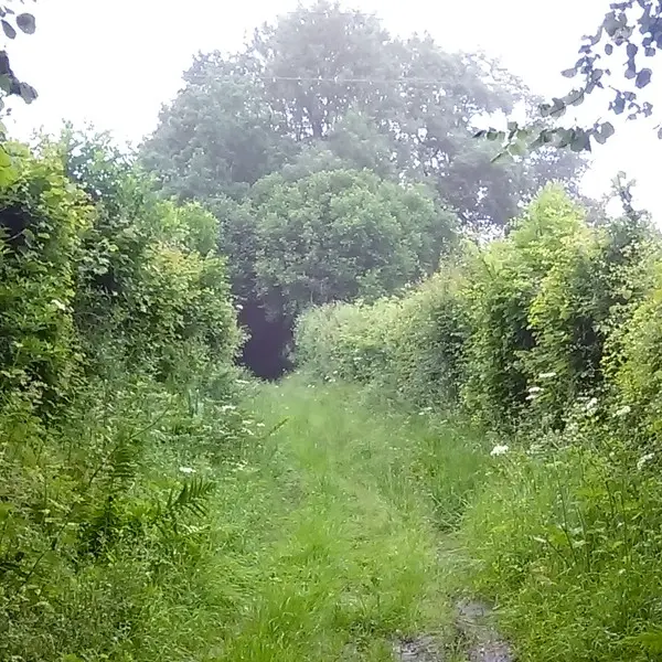 ruisseau-du-moulin-de-bailleul-Coquainvilliers2-2