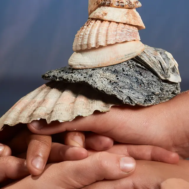 © Fred Margueron, 2025