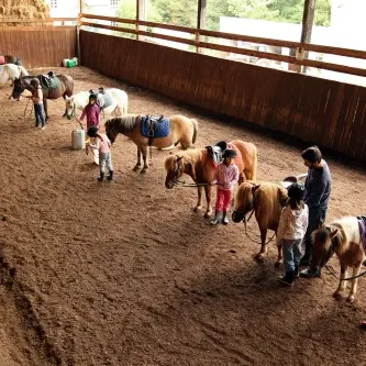 1 Poney club du moulin 500px