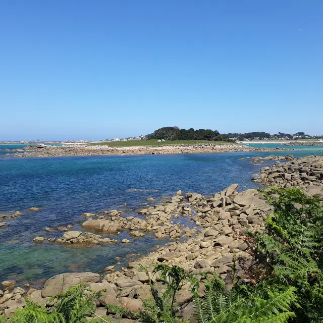 île Tanguy - Trégastel