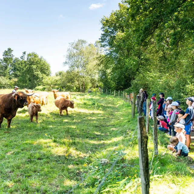 chasse au trésor en groupe sur la Réserve