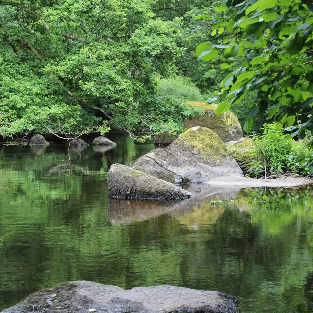 Réserve vie sauvage Ploubezre