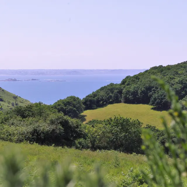 Vallée de Goas Lagorn