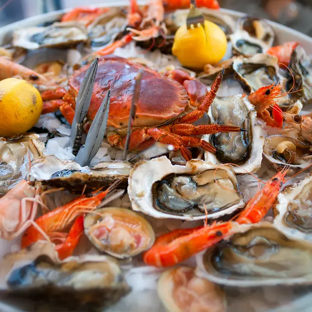 364051656_303365692206494_5098627947727762246_n