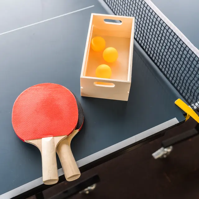 Table tennis or ping pong