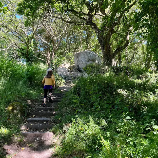 Vallée de Goas Lagorn - Lannion