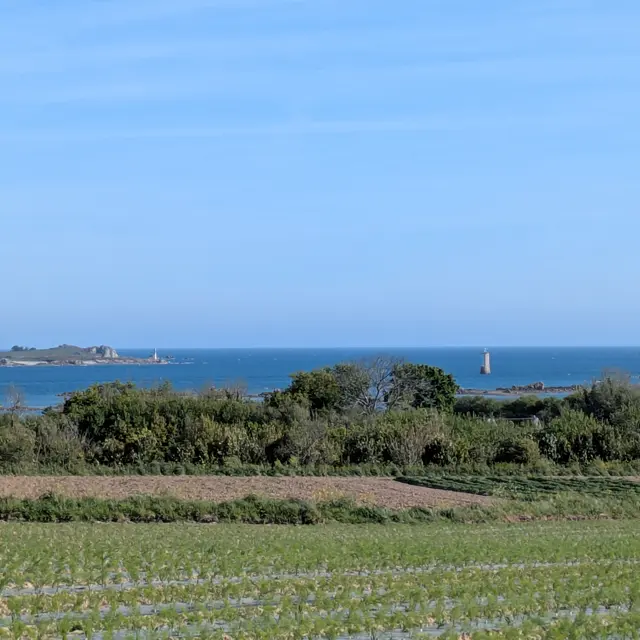 vue mer Kerbors - phare de la corne