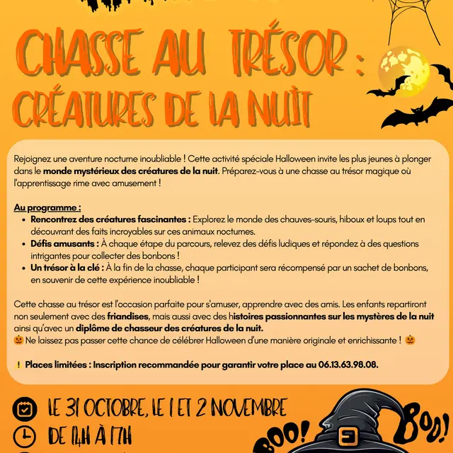 Chasse au trésor : créatures de la nuit