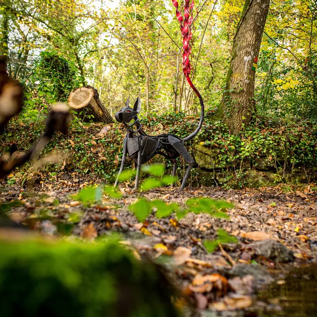 Le chien à longue queue rôde