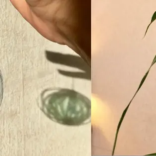 Bannière Atelier ÉCLOSION DE PLASTIQUE